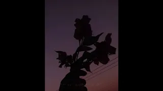 James Arthur - Say You Won't Let Go (Slowed) - Legendado