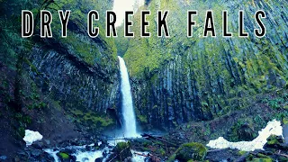 Hiking the Dry Creek Falls Trail | Columbia River Gorge, Oregon | 2022