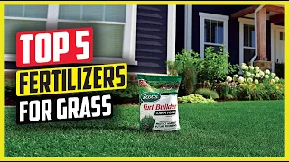 Best Fertilizers for Grass in 2024