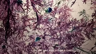 José González - With the Ink of a Ghost (Lyric Video)