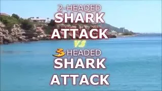 (720pHD): 2 Headed Shark Attack vs 3 Headed Shark Attack: Official Music Video