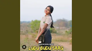 Ludu Budu Saag