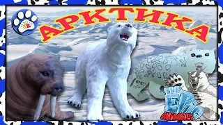 Снежные хищники и ко макси АРКТИКА (EPIC ANIMALS) как ДЕАГОСТИНИ 🐧🐋❄️