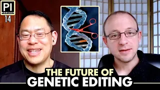 Stephen Hsu | The Future of Genetic Testing & Editing | Psychology Is Podcast 14