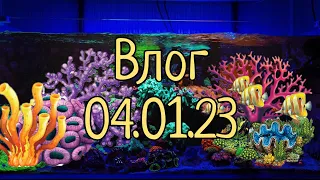 Влог 04.01.23