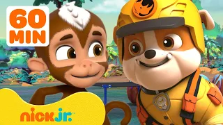 PAW Patrol Rubble & the Jungle Pups Rescue Animals! w/ Tracker | 1 Hour Compilation | Rubble & Crew