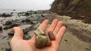 Fette Beute auf Poel - Fossilien suchen an der Ostsee #8