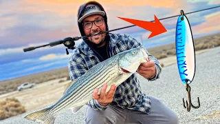 Super windy day of fishing at the California Aqueduct | managed to catch a beast!! (Spoon)