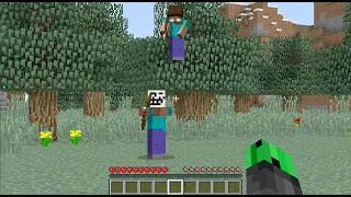 Herobrine saves me from Steve Troll...