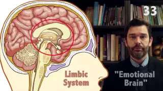 The Triune Brain in 60 seconds