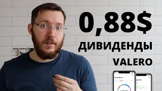 Ошибки начинающих инвесторов. Ответы на вопросы про инвестиции