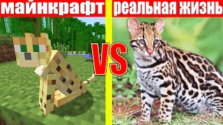 МАЙНКРАФТ ПРОТИВ РЕАЛЬНОЙ ЖИЗНИ 9 ! MINECRAFT VS REAL LIFE