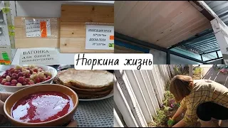 Посадила цветы // Ураганный ветер // Занялись пристроем // Работа в огороде // Гончарный круг