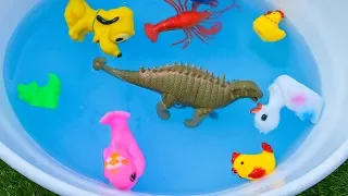 Zoo Animals for children🦜🦢🐍  - Animal Names for Kids - wild animals at the zoo - ZOO