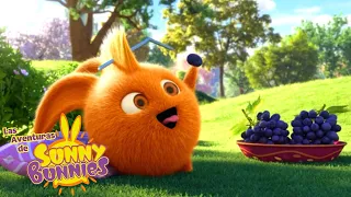 Las Aventuras de Sunny Bunnies | Deliciosas uvas | Dibujos para niños