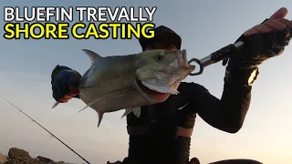 EP11 - BLUEFIN TREVALLY Catch | Ultralight Fishing : Shimano Catana 4000 | صيد السمك كاستنج جدة