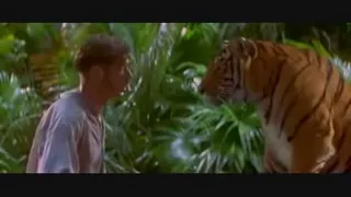 Shere Khan hunts Wilkins