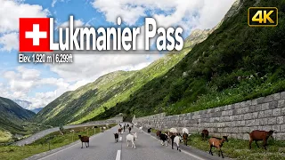 Lukmanier Pass, Switzerland 🇨🇭 Driving from the top of the Lukmanier Pass to Disentis/Mustér