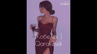 Qarakesek -  [Кобелек]