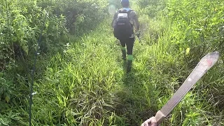 INTO THE BUSH...HUNTING the WOLF FISH - Freshwater Fishing, Trinidad