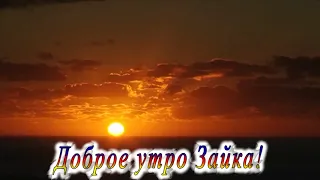 Доброе утро Зайка