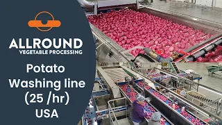 Potato washing line | KAN | USA | Allround Vegetable Processing