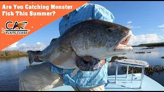 Are You Catching Monster Fish This Summer? - Flats Class YouTube