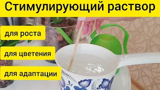 Стимулирующий раствор для роста, цветения и адаптации орхидей || Антистресс для орхидей