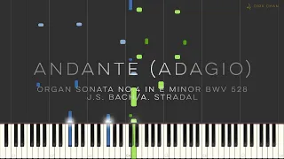 Bach Stradal Andante (Adagio) Organ Sonata No.4 BWV 528 Tutorial (Synthesia) Piano – Dirk Chan