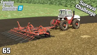 FIELD WORK AND SORGHUM HARVEST - Survival Challenge FS22 Calm Lands Ep 65