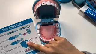 [toy asmr] dental toys asmr🦷🪥치과 장난감