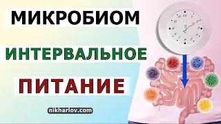 Интервальное голодание (ИГ) и микробиом кишечника. Риск хронической кишечной инфекции, мальабсорбция