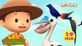 Leo The Wildlife Ranger | TYPES of BIRDS Around the World 🐦| Woodpecker & More! | @mediacorpokto