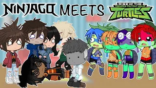 Ninjago Meets TMNT! [GCMM]