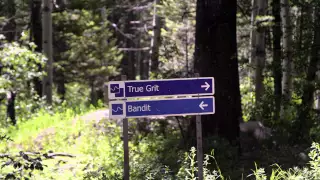 Jackson Hole Bike Park – Tisi and Whiteford