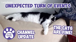 An Unexpected Turn Of Events - Lucky Ferals Channel Update - May 2024