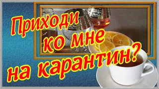 Приходи ко мне на карантин! Что ты там сидишь один....