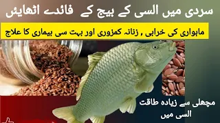 Benefits of Flax Seed | How to Eat Flax Seed | How to use Flax Seed | Alsi ke Fayde by Dr Rida Ahmed