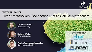 Tumor Metabolism: Connecting Diet to Cellular Metabolism