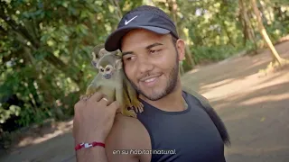 LETICIA AMAZONAS TU DESTINO, LA SELVA ESPERA POR TI.