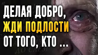 Правдивые цитаты Великих, Просто до Слёз! Слова, заставляющие Посмотреть на свою Жизнь иначе