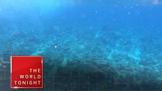 The World Tonight Livestream | Full Episode Replay | September 18, 2023