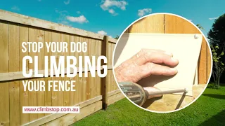 Stop your dog jumping  your fence - Climb Stop Dog Safety