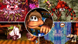 Game Over: Donkey Kong Country 3 | in All Boss Battles
