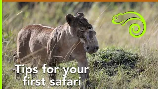 Tips for your first safari.