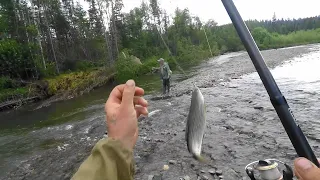 Эта ТАЕЖНАЯ Речка забита ХАРИУСОМ!!!/Рыбалка МЕЧТА!/Отрыв Души по ВЗРОСЛОМУ!