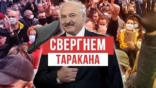 Свергнем Таракана. Свободу задержанным!