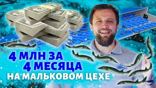 Как ЗАРАБОТАТЬ на посадочном материале ОСЕТРОВЫХ 4 МИЛЛИОНА рублей за СЕЗОН?