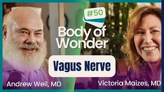 Body of Wonder: The Vagus Nerve – Driver of Emotional & Physical Wellbeing with Stefan Chemlik, MSc