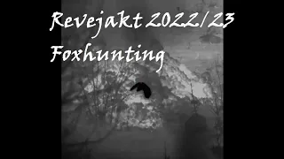 Revejakt 2022/23......Foxhunting